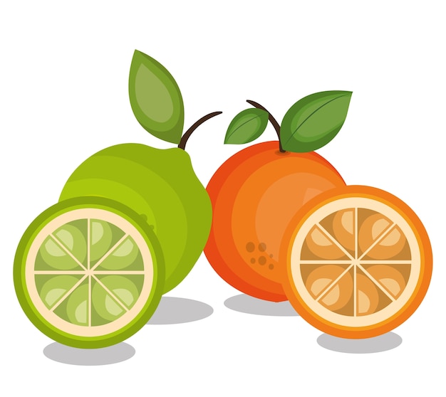 tropical fruits fresh banner 