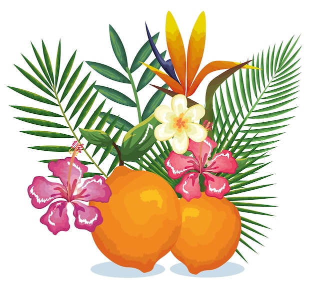 Tropical garden with orange 