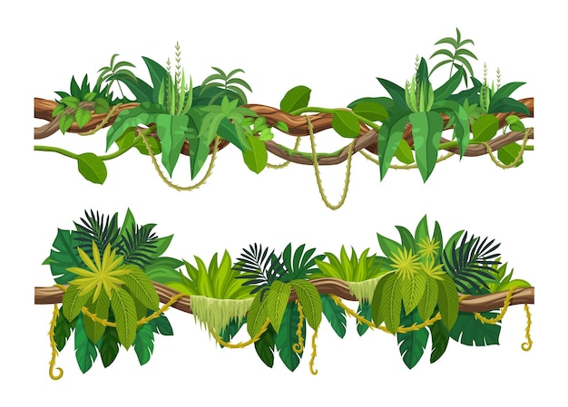 Vector tropical jungle forest liana vine branch leaves