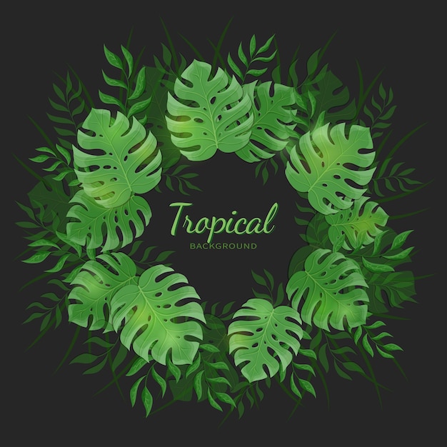 Tropical jungle leaves Green tropic palm and monstera leaves on the black background