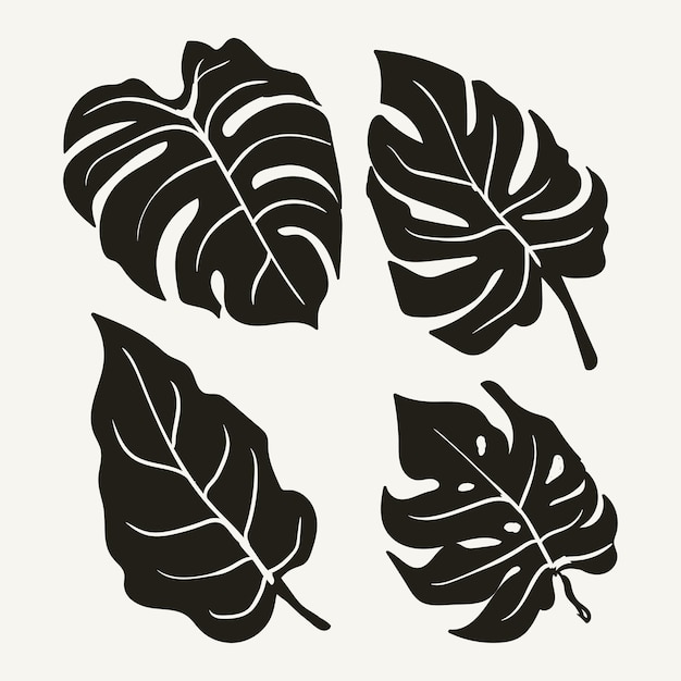 Tropical leaf collection with silhouette style