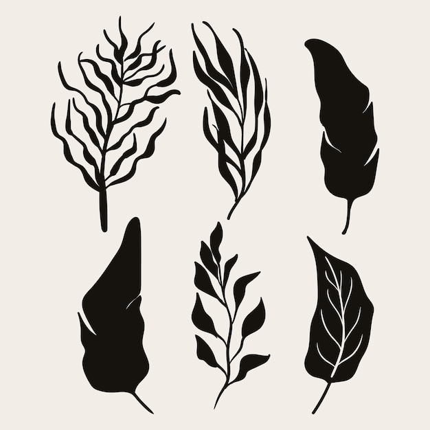 Tropical leaf collection with silhouette style