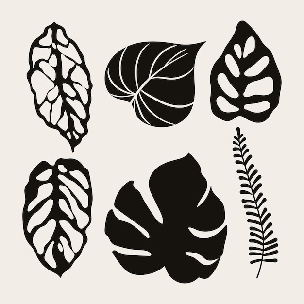 Tropical leaf collection with silhouette style