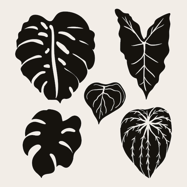 Tropical leaf collection with silhouette style