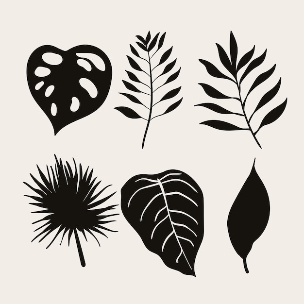 Tropical leaf collection with silhouette style