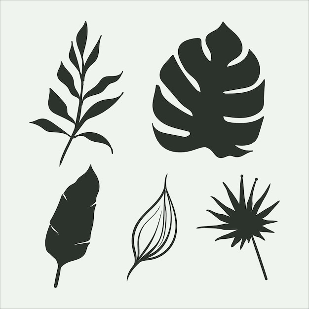 Tropical leaf collection with silhouette style