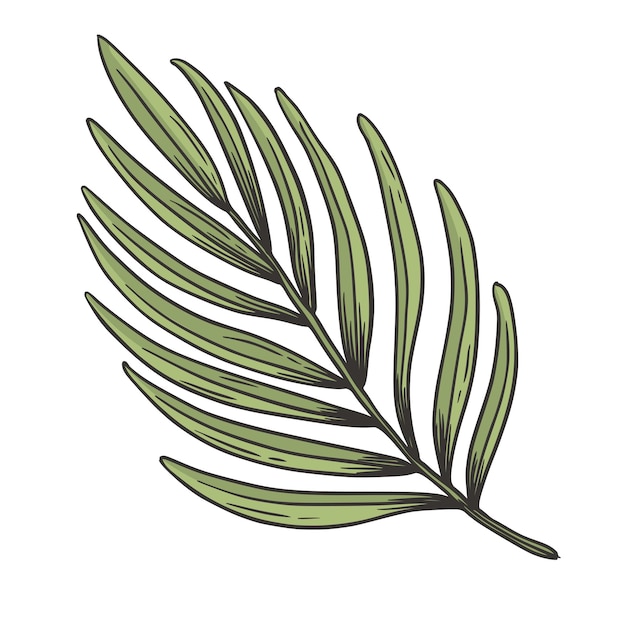 Tropical Leaf Doodle Vector Illustration