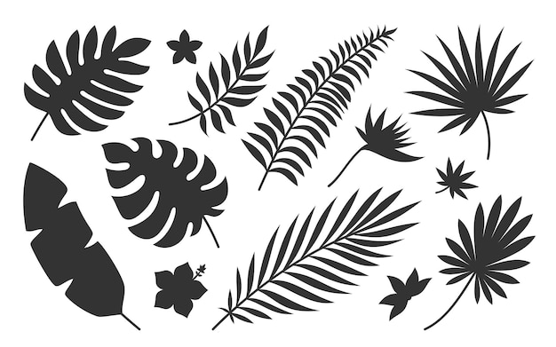 Tropical leaf flower plant black silhouette set. Botanical stamp tattoo imprint badge pattern fabric cosmetic site spa. Palm branch exotic bird paradise flower hibiscus plumeria isolated on white