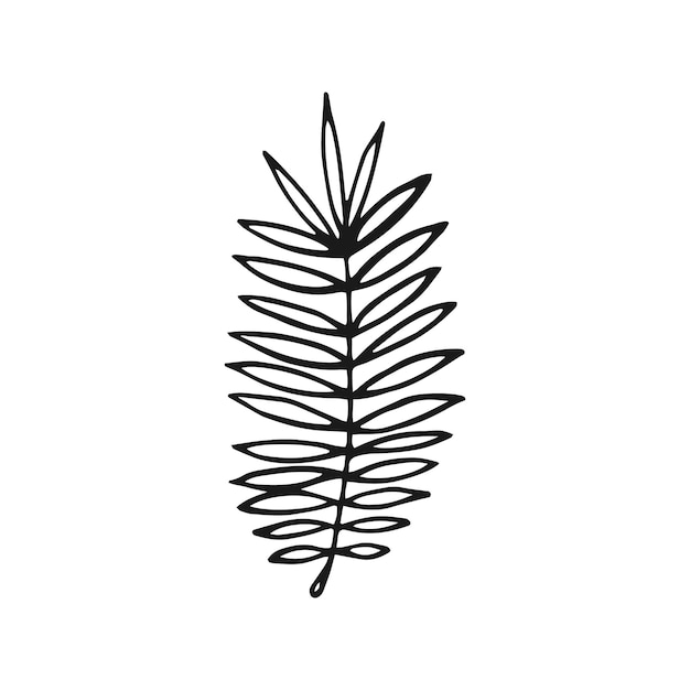 Tropical Leaf Hand drawn vector illustration Line art style isolated isolated on white background