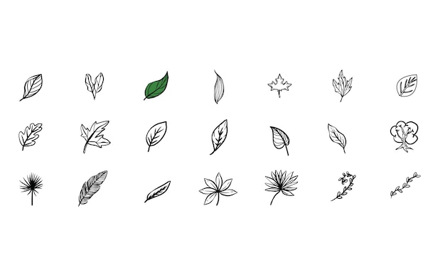 tropical leaf handdrawn collection