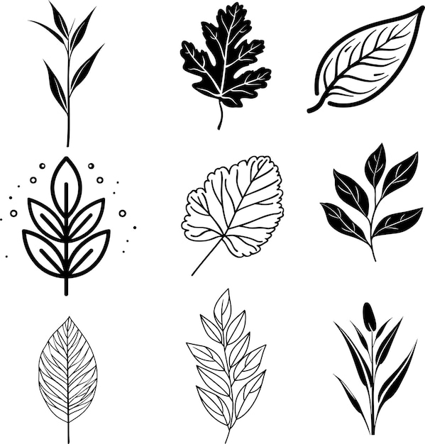 tropical leaf line art silhouette black and white collection