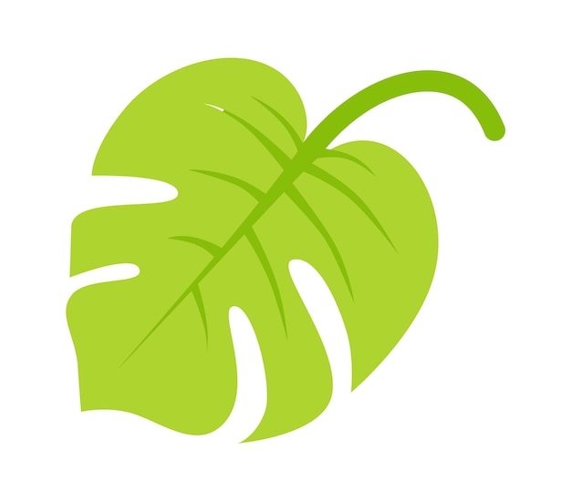 Tropical leaf plant flat illustration