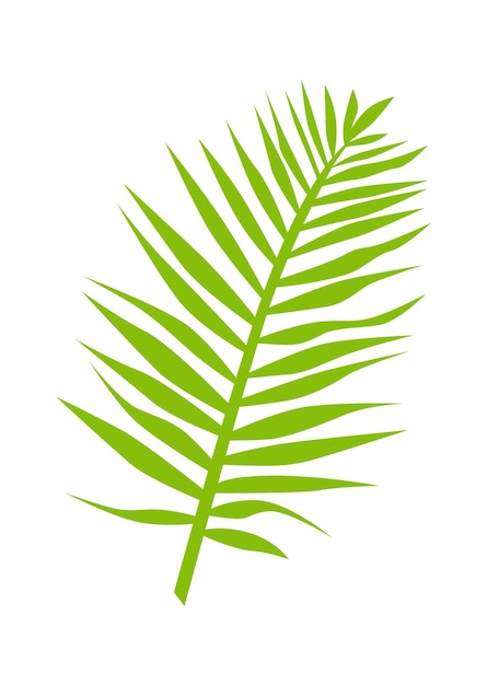 Tropical leaf plant flat illustration