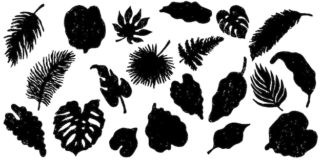 Tropical leaf silhouettes Grunge exotic black set of elements with shabby texture Vector big monochrome set Elements for design