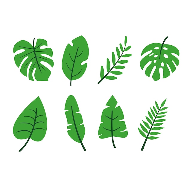 tropical leaf vector set collection vector illustration