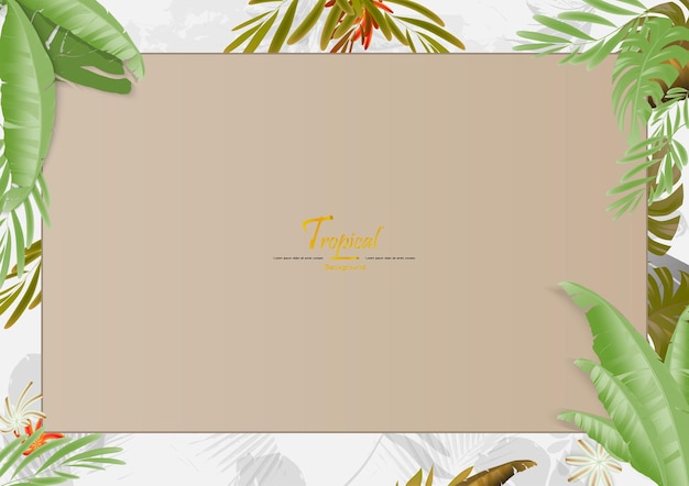 Tropical leafs template with white backgroundNature templategreen vector backgroundEPS10