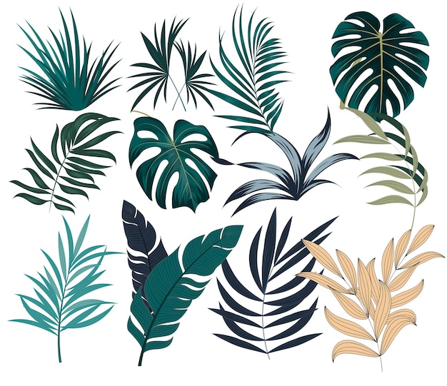 Vector tropical leave set