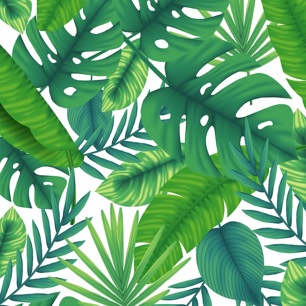 tropical leaves background abstract