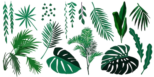 Tropical leaves collection hand drawn vector set