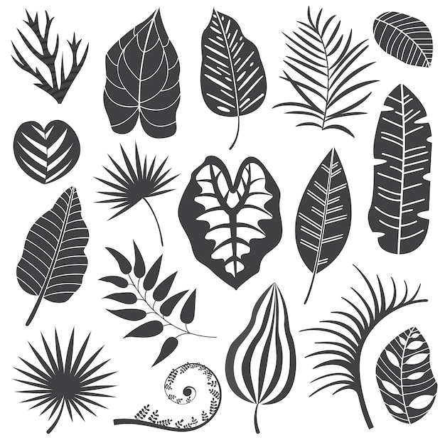 Tropical Leaves Collection Set