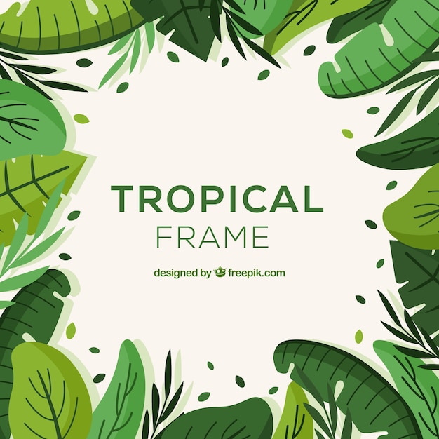 Tropical leaves frame concept