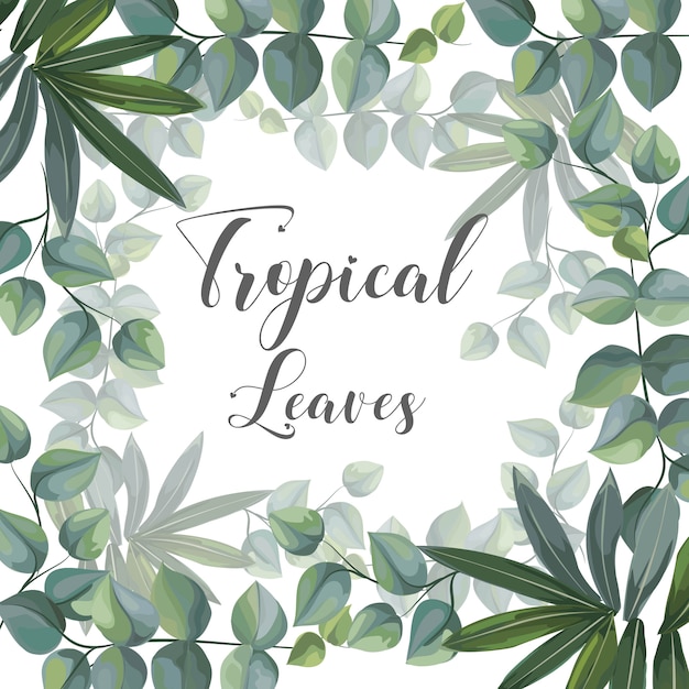 Tropical leaves on frame for texts vector illustration