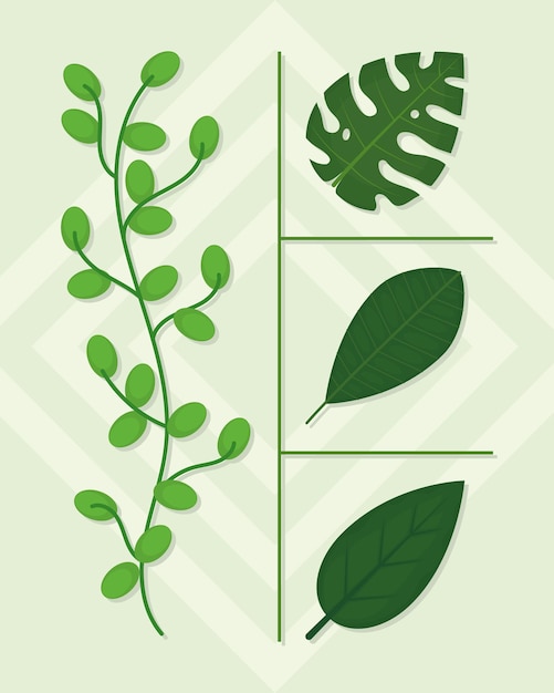 Tropical leaves icon set design