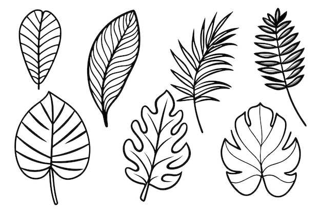 Tropical Leaves Line Art Detailed Foliage Icon