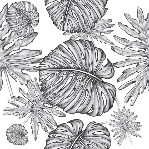 Tropical leaves monstera pattern