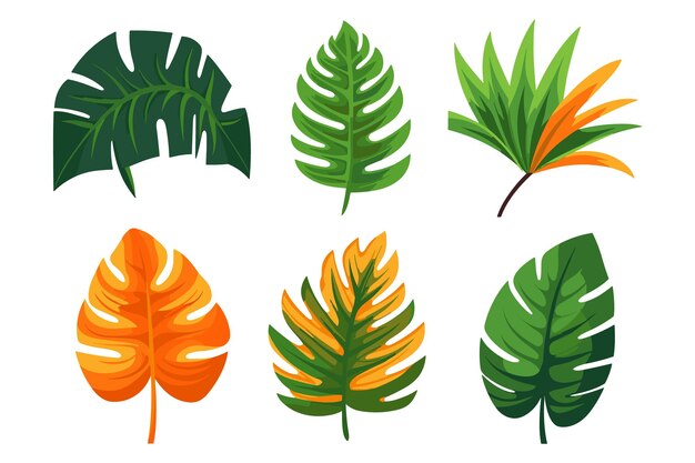 Tropical leaves set vector illustration