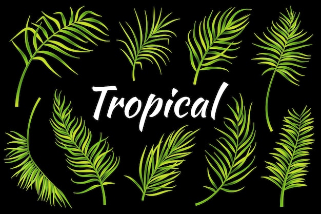 Tropical leaves set Vector illustration