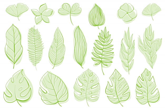 Tropical leaves set.