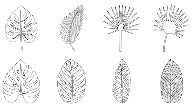 Tropical leaves set