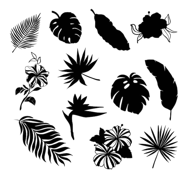 Tropical Leaves Silhouette Set with some flowers in black color as Coconut Fan Banana Palm Monstera Fern Bird of Paradise Plumeria Heliconia Hibiskus Leafs are included as BRUSHES in Library