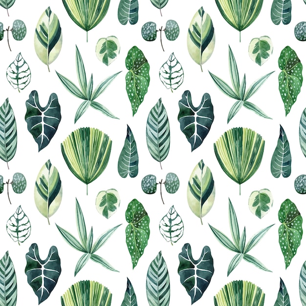 Tropical leaves watercolor vector seamless pattern with tradescantia begonia alocasia