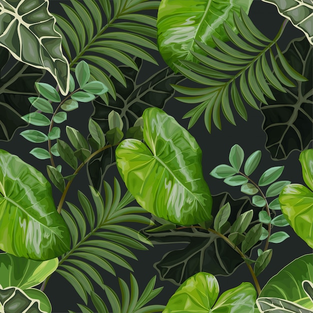 Tropical leaves