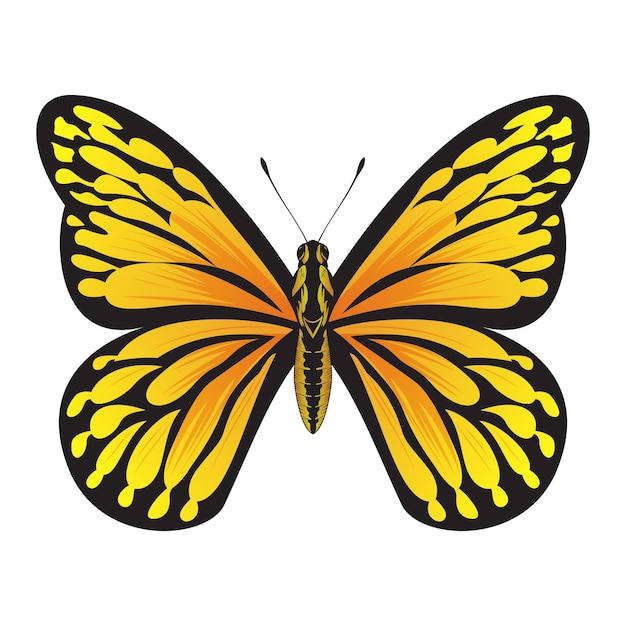 Tropical Orange Butterfly Beautiful Butterfly vector Illustration