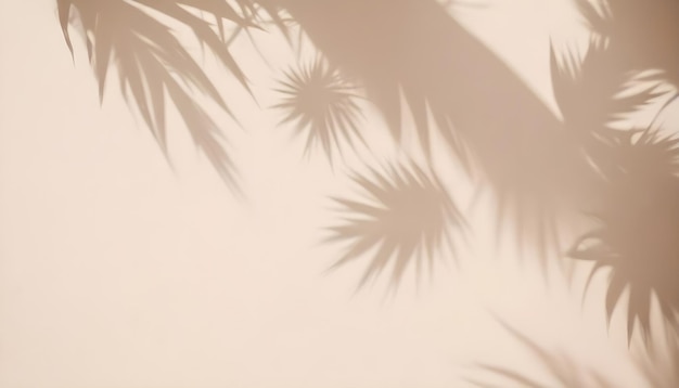 Vector tropical palm leaf shadows on a beige wall creating a summery and minimalist background