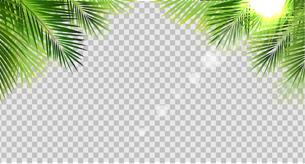 Tropical Palm Leaves Frame And Sun