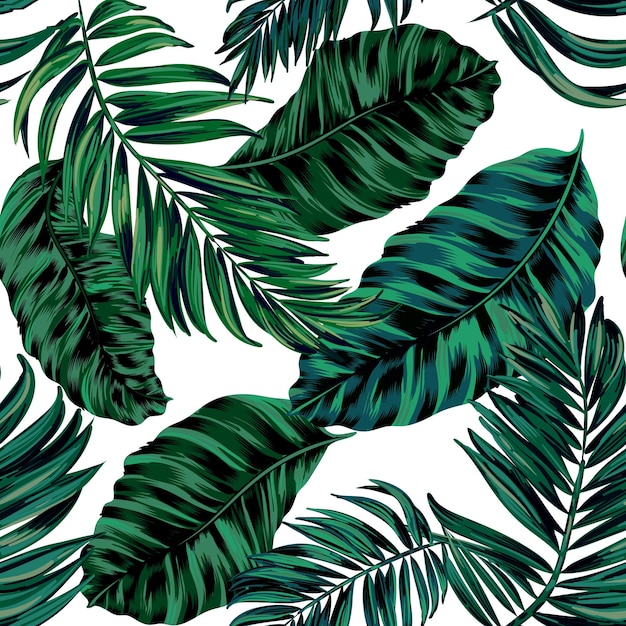 Tropical palm Leaves Seamless Vector illustration pattern isolated on white background