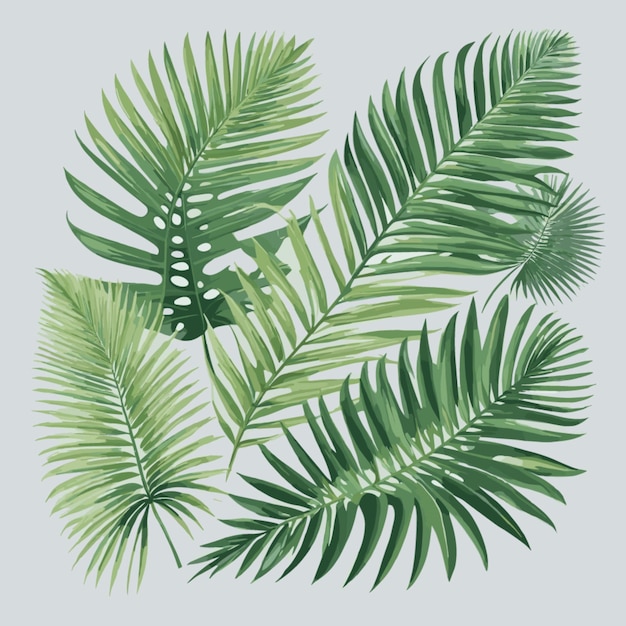 Tropical palm leaves