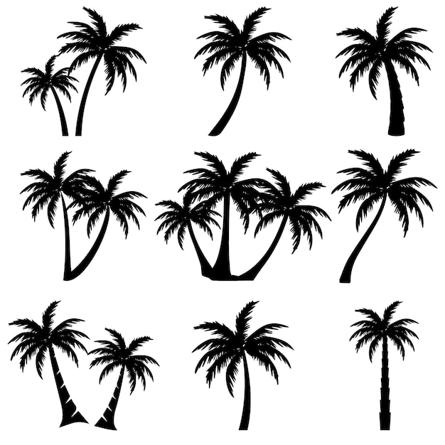 Tropical palm tree set silhouettes