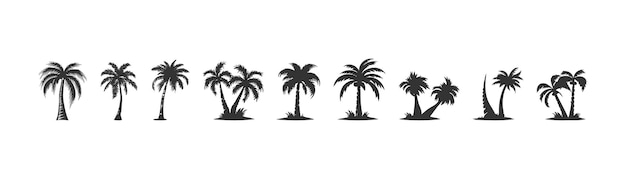 Tropical palm tree silhouette icon set Vector illustration design