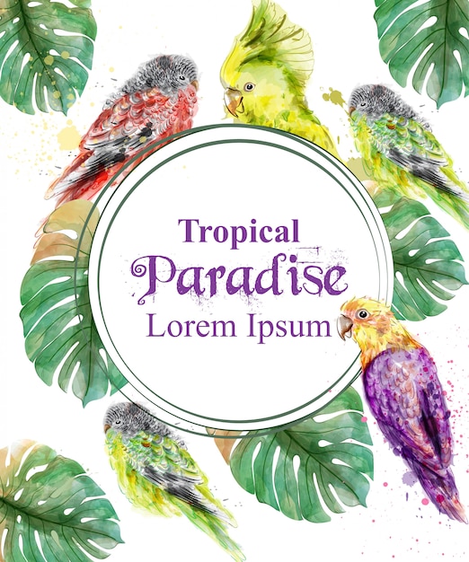 Tropical paradise frame 