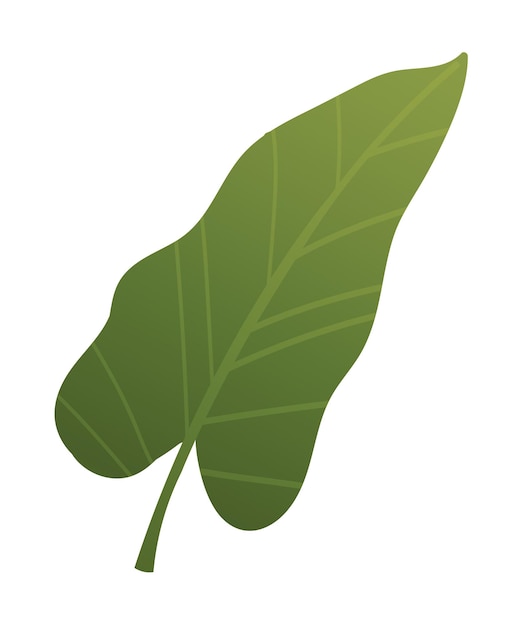 Tropical plant icon