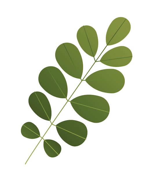 Tropical plant icon