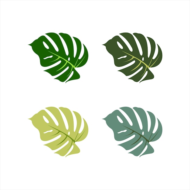 tropical plant leaves illustration in green variation color