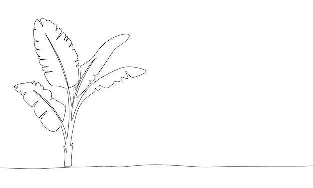 Tropical plant one line continuous Tropical leaves hand drawn outline Just leaves line art Vector