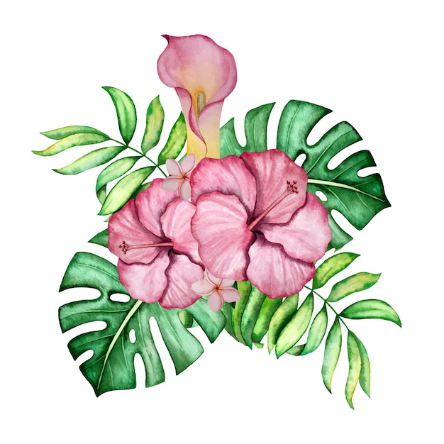 Tropical plant watercolor decoration illustration