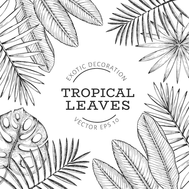 Tropical plants banner design.